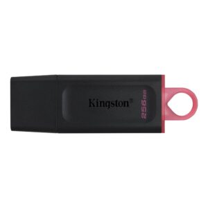 MEMORY DRIVE FLASH USB3.2/256GB DTX/256GB KINGSTON  DTX/256GB 740617310023