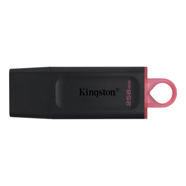 MEMORY DRIVE FLASH USB3.2/256GB DTX/256GB KINGSTON  DTX/256GB 740617310023