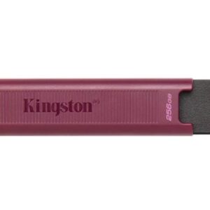 MEMORY DRIVE FLASH USB3.2/256GB DTMAXA/256GB KINGSTON  DTMAXA/256GB 740617328370