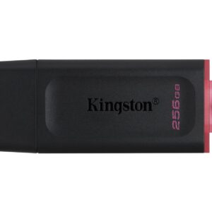 MEMORY DRIVE FLASH USB3.2/256GB DTX/256GB KINGSTON DTX/256GB 740617310023