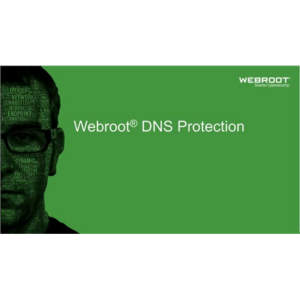 Webroot | DNS Protection with GSM Console | 1 year(s) | License quantity 1-9 user(s) 152300001A