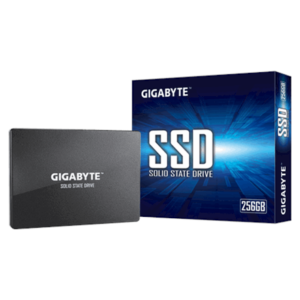 Gigabyte | GP-GSTFS31256GTND | 256 GB | Solid-state drive interface SATA | Read speed 520 MB/s | Write speed 500 MB/s GP-GSTFS31256GTND 4719331804329
