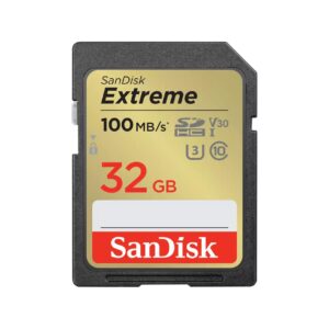 MEMORY SDHC 32GB UHS-1/SDSDXVT-032G-GNCIN SANDISK SDSDXVT-032G-GNCIN 619659188924