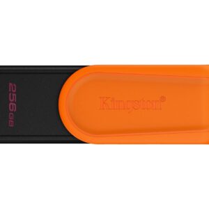 MEMORY DRIVE FLASH USB3.2/256GB DTXS/256GB KINGSTON  DTXS/256GB 740617348736